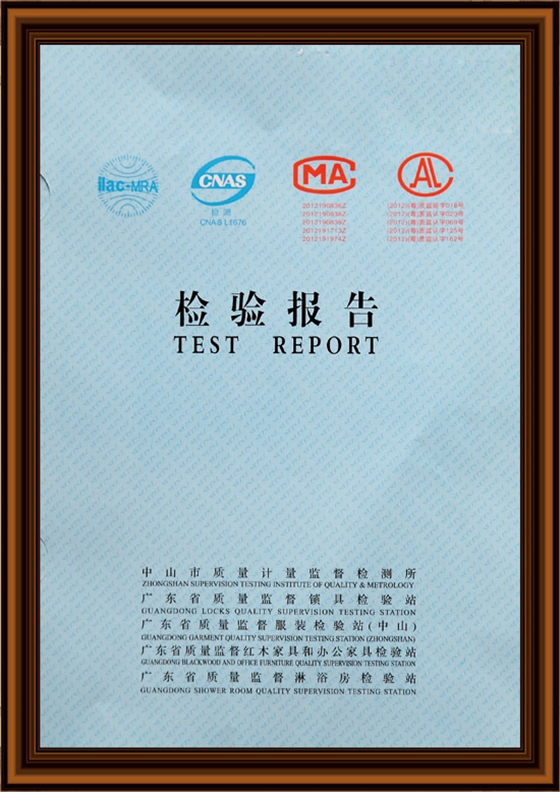 漆強(qiáng)漆檢驗報告 漆強(qiáng)漆檢驗報告