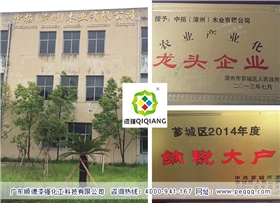 漆強(qiáng)資訊_福建省中拓(漳州)木業(yè).jpg 漆強(qiáng)資訊_福建省中拓(漳州)木業(yè).jpg