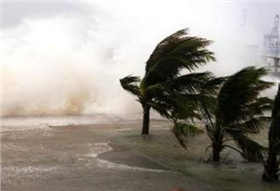 圖片2.jpg 圖片2.jpg