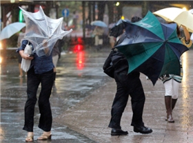 2699076_980x1200_0.jpg 2699076_980x1200_0.jpg