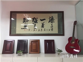 漆強(qiáng)家具漆光彩照人，記者看了都說(shuō)好 (5).jpg