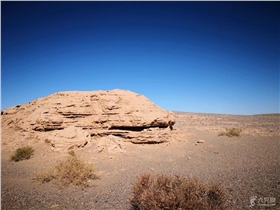 timg (3).jpg timg (3).jpg