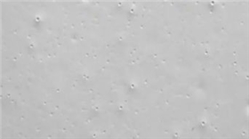 家具漆、木器漆、針孔