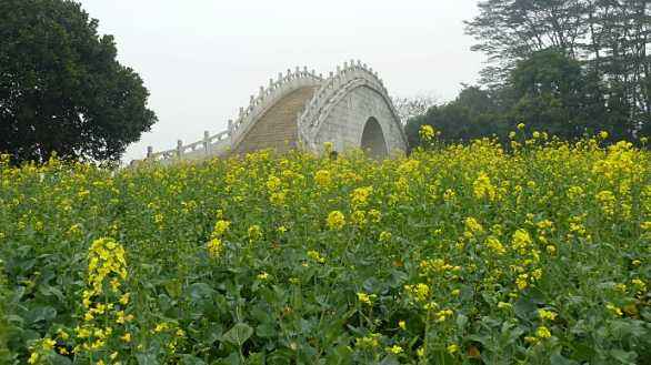 【來漆強(qiáng)看什么】順德美色，淡妝濃抹總相宜