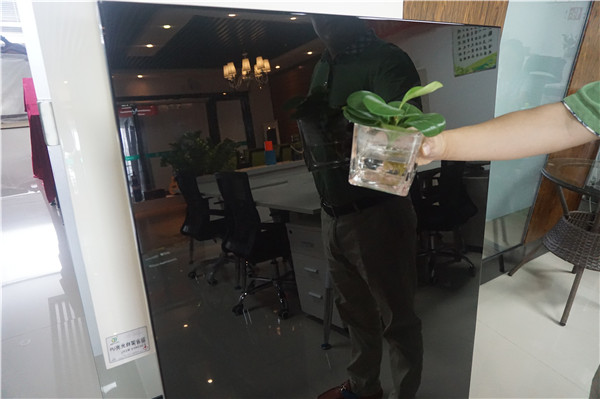 漆強(qiáng)家具漆光彩照人，記者看了都說好 (2).JPG