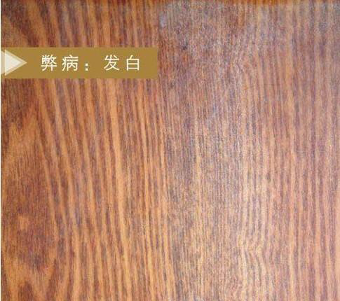 圖片1.png 圖片1.png