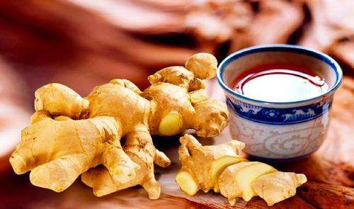 timg (2).jpg timg (2).jpg