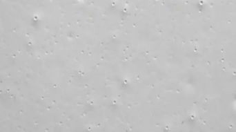 家具漆、木器漆、針孔