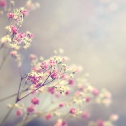 7dd98d1001e93901627d53afe313e2e337d1962c.jpeg 7dd98d1001e93901627d53afe313e2e337d1962c.jpeg